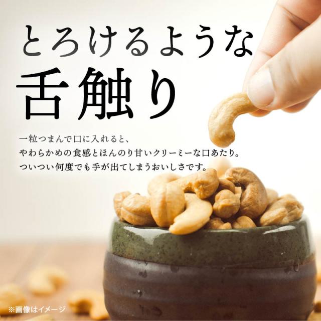 前田家 無添加 素焼きカシューナッツ 700g 無塩 無油 ロースト 素焼き ナッツ カシュー おやつ お菓子 おつまみ 習慣 栄養 インド産 食物繊維 ミネラル オレイン酸 メール便 送料無料 MAEDAYA