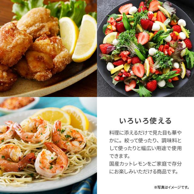 前田家] 国産 瀬戸内レモン 冷凍 1kg(1000g) x 5袋 広島県産 カット