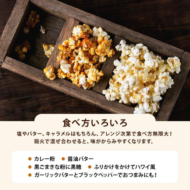 前田家] ポップコーン 900g お徳用 とうもろこし コーン 海外菓子