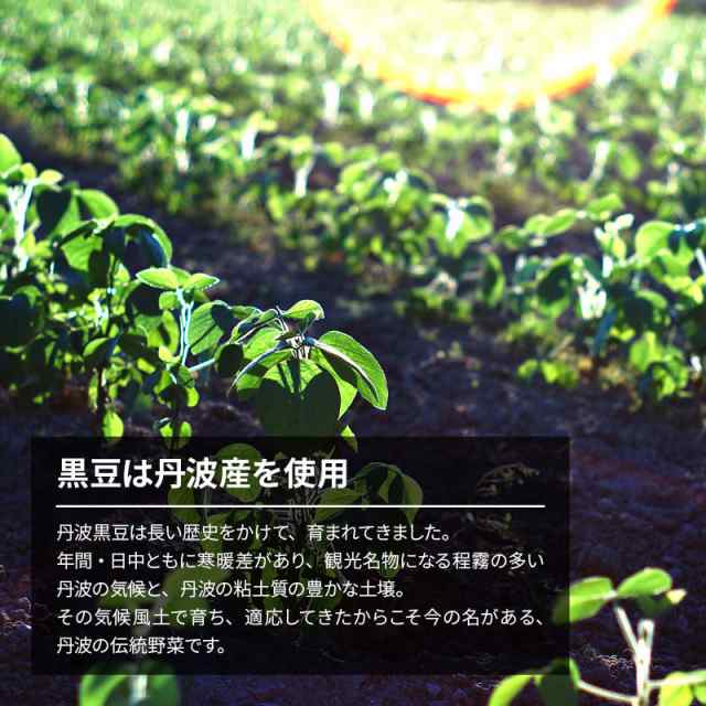 ファッションの 国産 最上級 丹波産 大粒 黒豆甘納豆 230g 無添加 無着色 甘納豆 黒豆 丹波特産 黒大豆 くろまめ お菓子作り おやつ お茶うけ ポイント消化 ファッションの 国産 最上級 丹波産 大粒 黒豆甘納豆 230g 無添加 無着色 甘納豆 黒豆 丹波特産 黒大豆 くろまめ お菓子作り おやつ お茶うけ ポイント消化