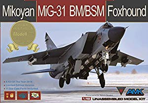 アバンギャルドモデル 1/48 ミコヤーン MiG-31BM/BSM フォックス