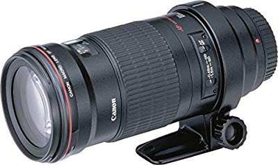 逸品 Canon 単焦点マクロレンズ EF180mm F3.5L マクロ USM フルサ www