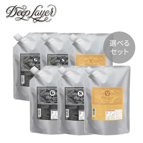 Deep Layer ディープレイヤー シャンプー750ml ＆トリートメント 750g 詰替セット エクストラグロッシー ExG / エクストラスリーク ExS / エクストラベルベッティ ExV【b-ex ビーエックス ビューティーエクスペリエンス】