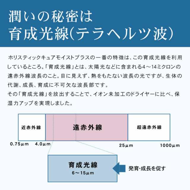 正規販売店】ホリスティックキュア ドライヤーRp. (CCID-G04B)【ホリ