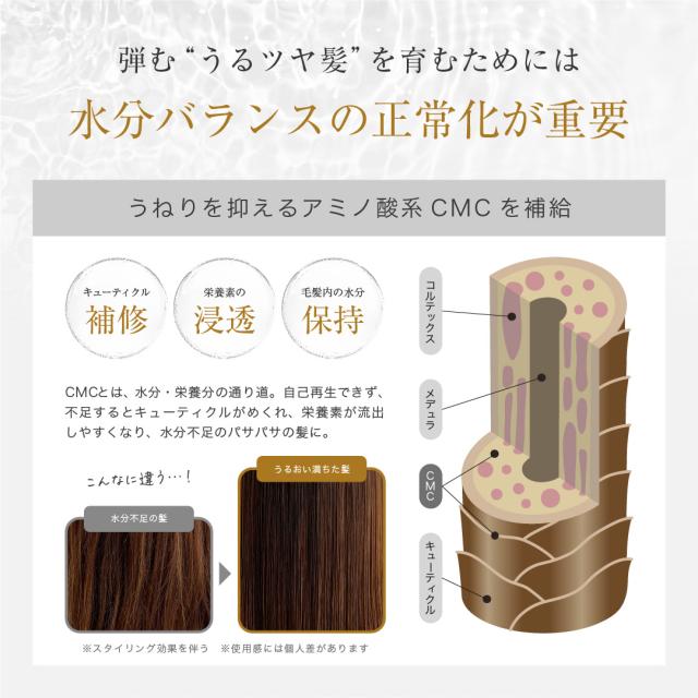 送料無料/選べる】LUTY ルーティー シャンプー 500ml