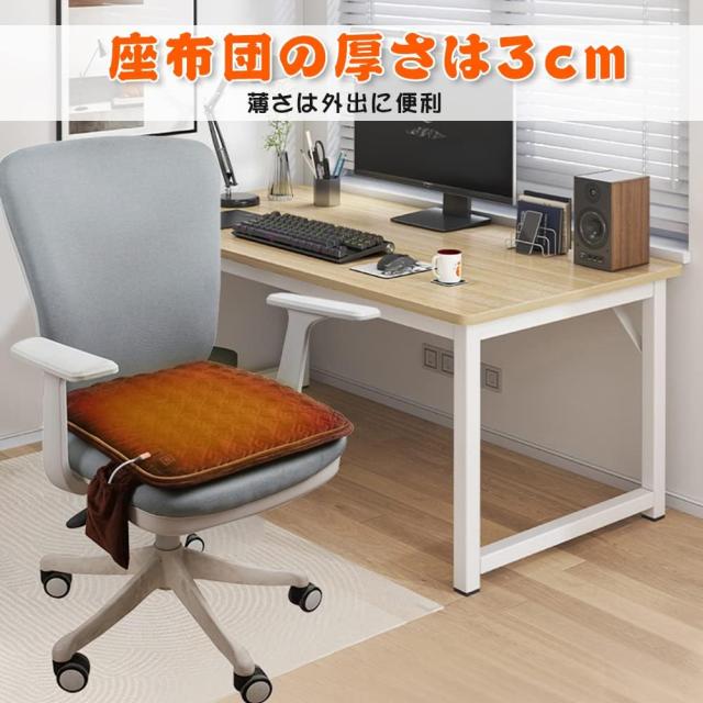 電気座布団 60℃・55℃・45℃恒温 45×45×3cm 足温器 シート 電気マット 