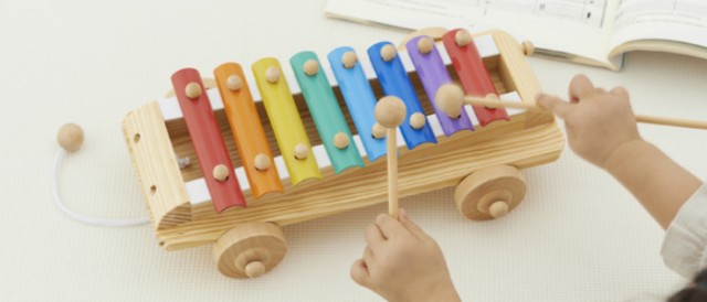 新品特価 エドインター シロフォンカー