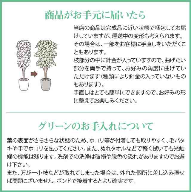 光触媒 光の楽園 多肉植物3点セット ポリ製 231b35 手のひらサイズ 人工植物 造花 フェイクグリーン おしゃれ インテリア 小型 卓上 の通販はau Pay マーケット Sanwaショップ