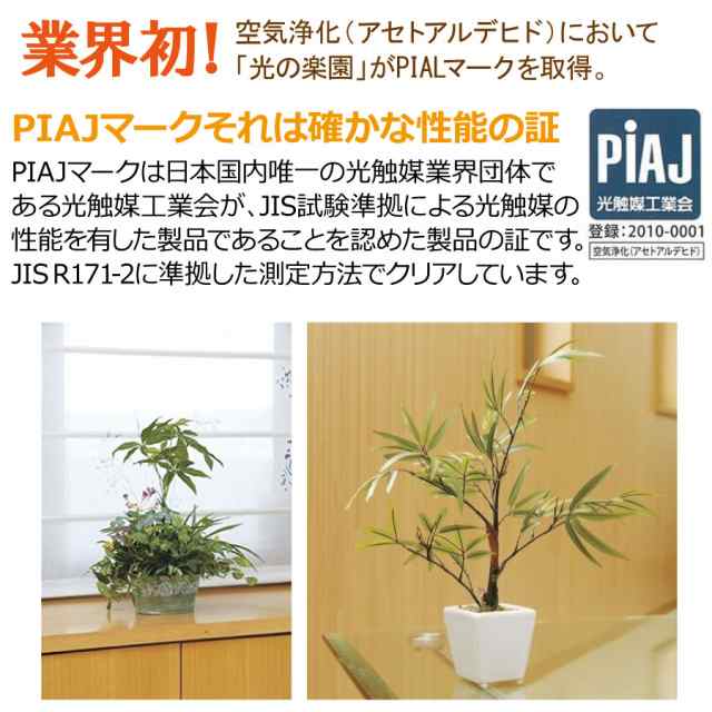 オフィスのエントランス・廊下や、お店のアクセントに人工観葉植物