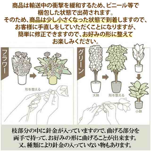 光触媒 光の楽園 プレミアム胡蝶蘭W AB 661A125 約 幅45×奥行40×高さ