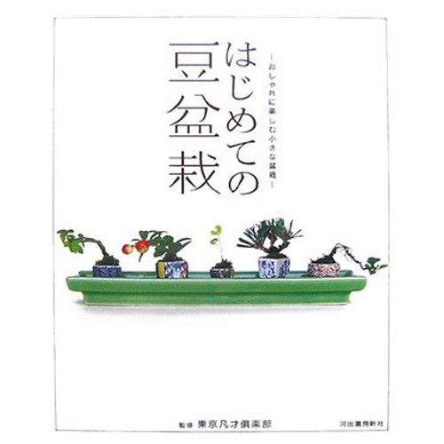 中古 はじめての豆盆栽 気軽に楽しむ小さな盆栽の通販はau Pay マーケット Leaders Shop