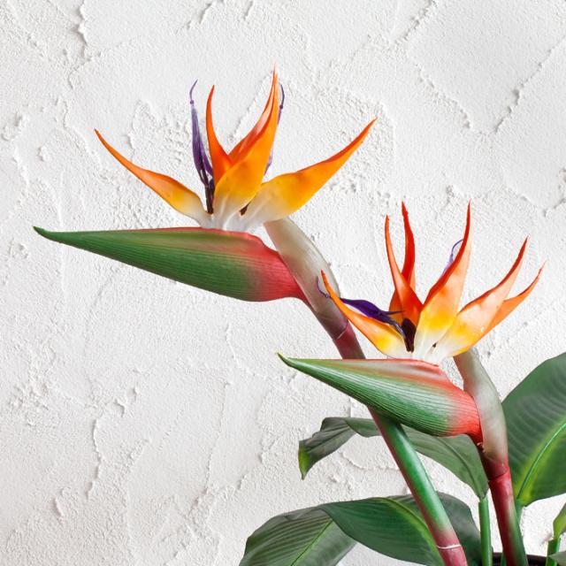 迎春アレンジストレチア他3点 和」 | 商品詳細 | 高島屋オンラインストア