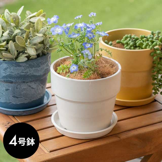 植木鉢 プランツポット 4号鉢 プラスチック 無地 受け皿付き 底穴あり 直径13 5cm 鉢 プランターカバー ガーデニングの通販はau Pay マーケット Elements