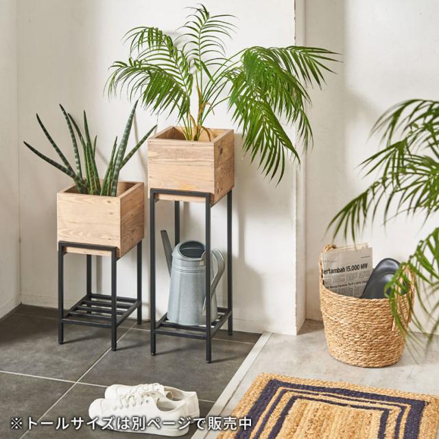 プランタースタンド 脚付き アイアン 木製 パイン材 ショート