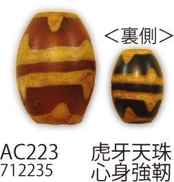 【ビーズ・ストーン】メルヘンアート AC223ﾁﾍﾞｯﾄ天珠(虎牙天珠)14mmX10mm 3袋【ビーズ・スト