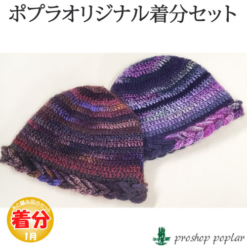 ダイヤモンド 立体模様の帽子かぎ針 中級者 編み物キット の通販はau Pay マーケット 毛糸のプロショップポプラ