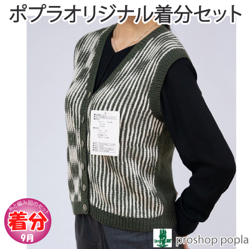 【秋冬】格子模様のイリュージョンニット【中級者】【編み物キット】 毛糸のポプラの通販は