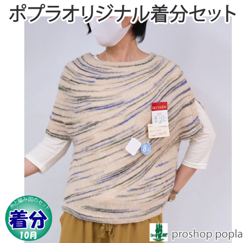 【着分パック】引き返しのアシメトリーベスト【中級者】【編み物キット】 毛糸のポプラの通販は 5,610円