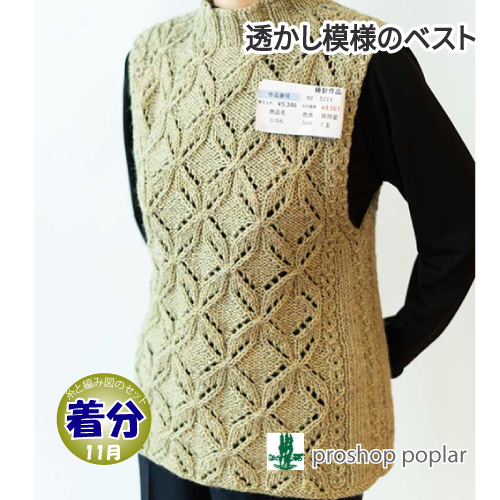 【秋冬】透かし模様のベスト【中級者】【編み物キット】 毛糸のポプラ 毛糸