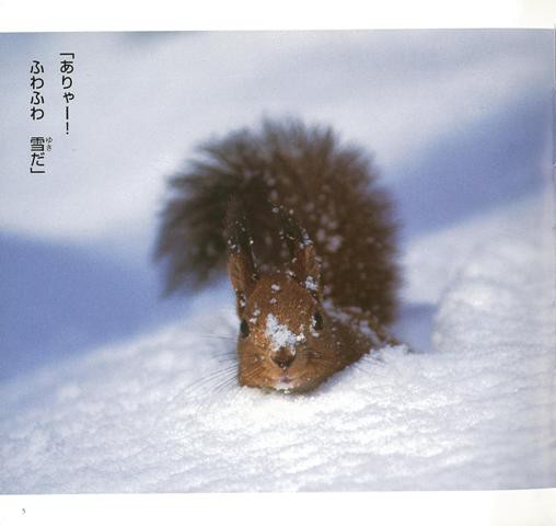 エゾリス 北国の野生動物 バーゲンブック 久保 敬親 新日本出版社 子ども ドリル 観察図鑑 飼育 絵本 えほん 観察 図鑑 写真 動物 冬 の通販はau Pay マーケット アジアンモール