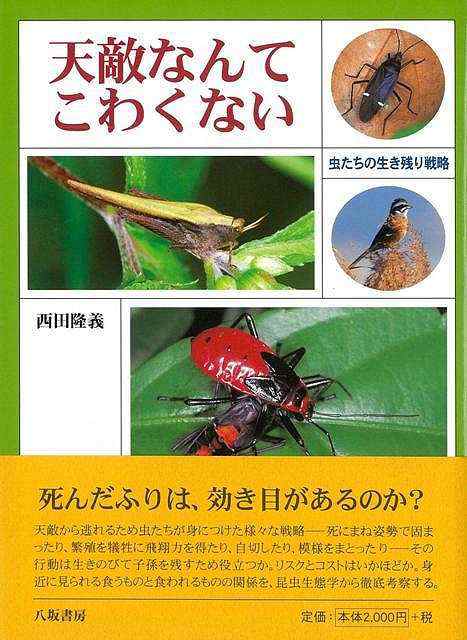 天敵なんてこわくない 虫たちの生き残り戦略 バーゲンブック 西田 隆義 八坂書房 理学 工学 生物 動物 生命科学 科学 昆虫 戦略 の通販はau Pay マーケット アジアンモール