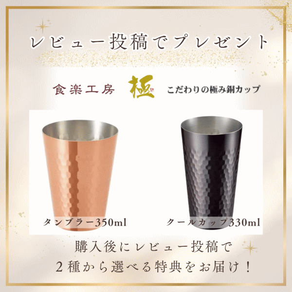 【レビュー記入で純銅タンブラープレゼント＆19日 20時〜 最大2,000円OFFクーポン】EKO ゴミ箱ごみ箱 自動開閉 小型 ミニ センサー式 充電式 フタ付き ステンレス製 9L 9リットル 角型 エコスマート X 充電式センサービン 9L EK9252RGMT-9L シルバー ECOSMART X SENSOR BIN_12