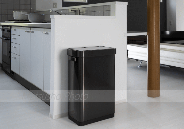 EKO ゴミ箱 ダストボックス 45L センサー式 ごみ箱 乾電池式 フタ付き ふた付き 蓋付き デラックスミラージュ T センサービン45L シルバー EK9378MMT-45L ブラックスチール EK9378BS-45L 2色_2