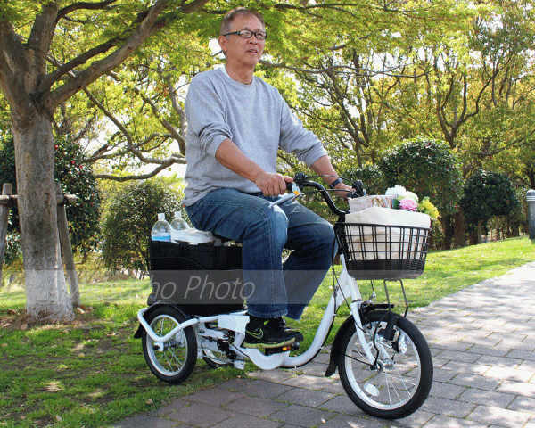 愛品館市原店】ミムゴ 三輪自転車 スウィングチャーリー【愛市IHU】 愛