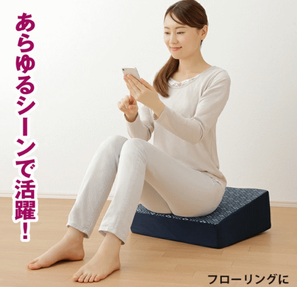 クッション メイダイ 腰にやさしい床坐クッション 全2色 ネイビー エンジ 送料無料の通販は