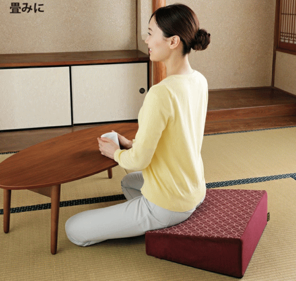 クッション メイダイ 腰にやさしい床坐クッション 全2色 ネイビー エンジ 送料無料の通販は
