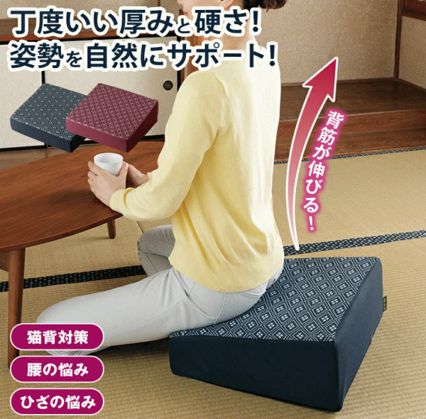 クッション メイダイ 腰にやさしい床坐クッション 全2色 ネイビー エンジ 送料無料の通販は