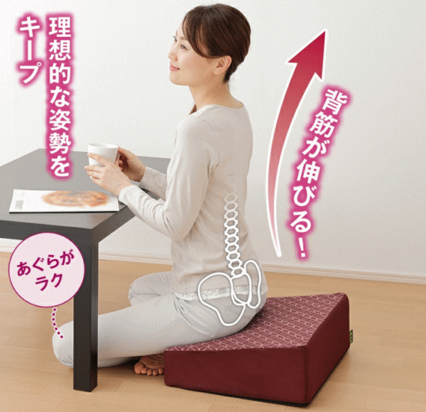 クッション メイダイ 腰にやさしい床坐クッション 全2色 ネイビー エンジ 送料無料の通販は