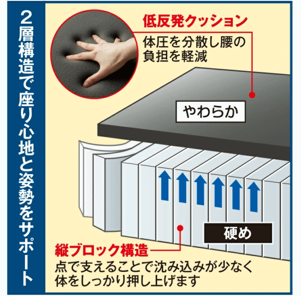 クッション メイダイ 腰にやさしい床坐クッション 全2色 ネイビー エンジ 送料無料の通販は