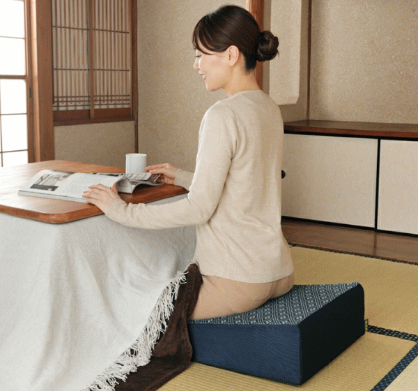 クッション メイダイ 腰にやさしい床坐クッション 全2色 ネイビー エンジ 送料無料の通販は