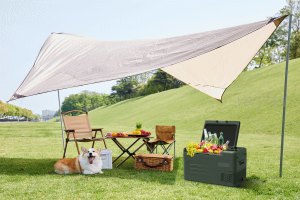 ベルソス 車載対応冷蔵冷凍庫 22L -20℃〜20℃調節可能 AC/DC両対応 シガーソケット 家庭用電源対応 VERSOS VS-CB122