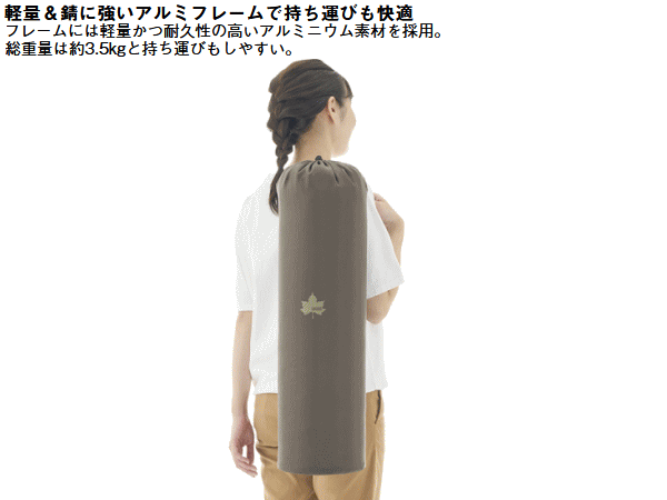 ロゴス チェア ローポジションチェア 持ち運び 軽量アルミフレーム