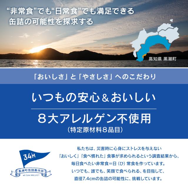 母の日 缶詰 おつまみ 詰め合わせ 魚 魚介 肉 バラエティ 18缶 セット 【 送料無料 】 黒潮町缶詰製作所 高級缶詰 おつまみセット 缶詰め お取り寄せグルメ 酒のつまみ 酒の肴 食べ物ギフト 防災 非常食 保存食 2026 父の日 内祝い ギフト_2