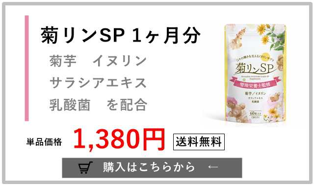 2021高い素材 菊芋 イヌリン サラシアエキス 乳酸菌配合 菊リンSP 日々の輝きを支えるイヌリンサプリ 管理栄養士監修 約1か月分  www.ertarkimya.com.tr