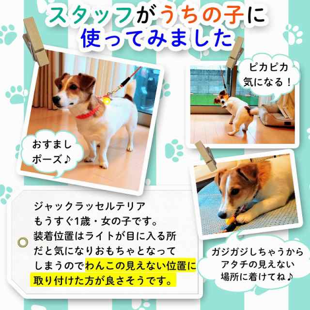 犬 ライト 首輪 リード ペット LED セーフティ ライト 散歩 ブルー