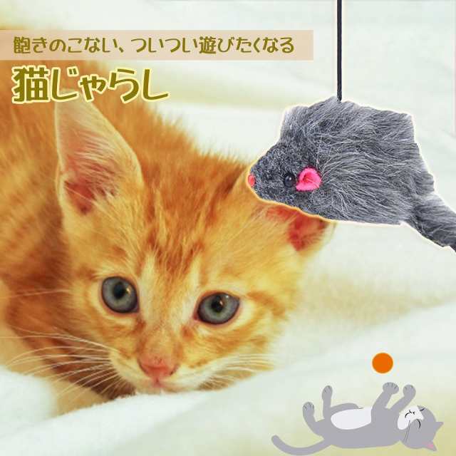 3点セット 猫じゃらし ぶら下げタイプ 一人遊び 飽きない 猫 おもちゃ