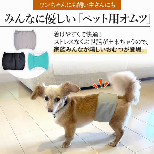 おむつウェア ドッグウェア 超小型犬 パピーちゃん マルカン わん