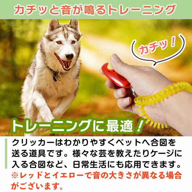 美品ワンブルWanbull 無駄吠えしつけ2セットあり 美品ワンブルWanbull 無駄吠えしつけ2セットあり