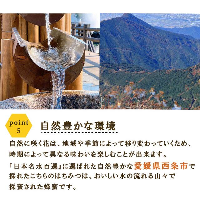 国産蜂蜜 はちみつ 日本ミツバチ 600gプレゼント 百花蜂蜜 産地直送