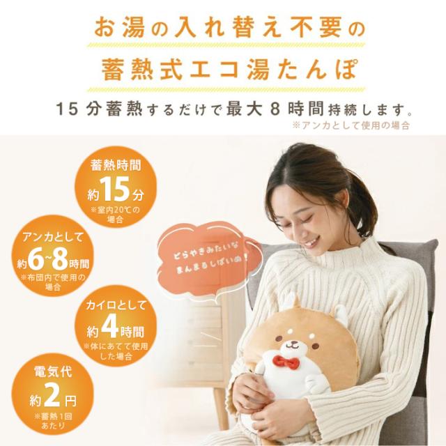 過熱防止機能 張り付い グレー 冷え対策に❣️湯たんぽ 