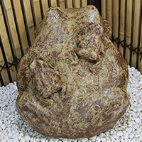 陶器 20号蛙 縁起物カエル お庭 玄関先 蛙蛙 かえる 信楽焼 おしゃれ 和風【手作り】_2