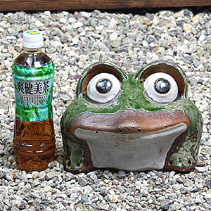 陶器 9号丸目蛙 縁起物カエル お庭 玄関先 蛙信楽焼 おしゃれ