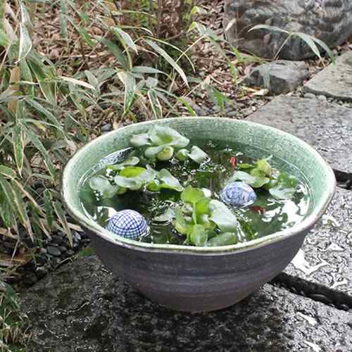 陶器 13号緑風き水鉢 すいれん鉢 メダカ鉢、 金魚鉢にも最適 睡蓮鉢 