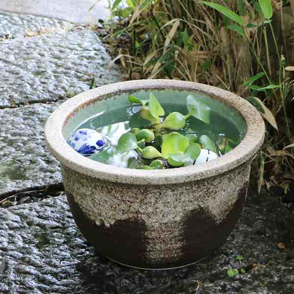 陶器 メダカ鉢 金魚鉢 睡蓮鉢 水鉢 手水鉢 すいれん鉢 鉢 めだか鉢