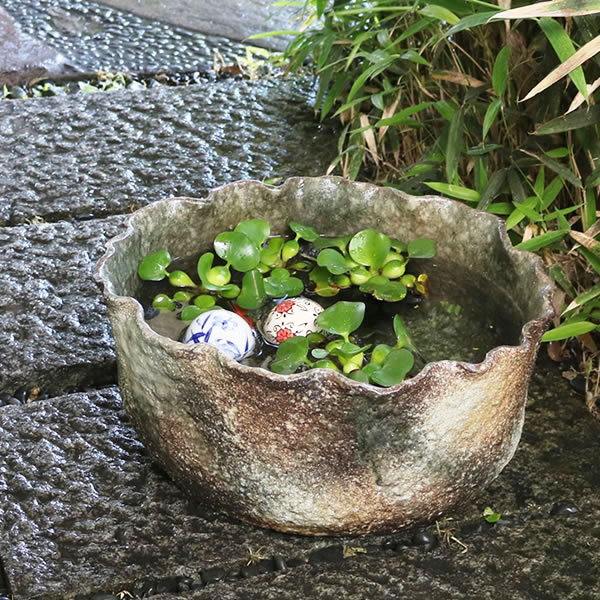 窯変反型水鉢 16号 （信焼・陶器・水鉢・メダカ鉢・めだか鉢・金魚鉢・すれん鉢・スイレン鉢・睡蓮鉢・B065-04） 信楽焼 陶器 窯変反型めだか鉢 金魚鉢 おしゃれ 睡蓮鉢 メダカ鉢 水鉢