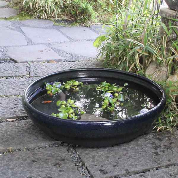 陶器 特大なまこ色スイレン鉢 睡蓮鉢 大型水鉢 水鉢 すいれん鉢 金魚鉢